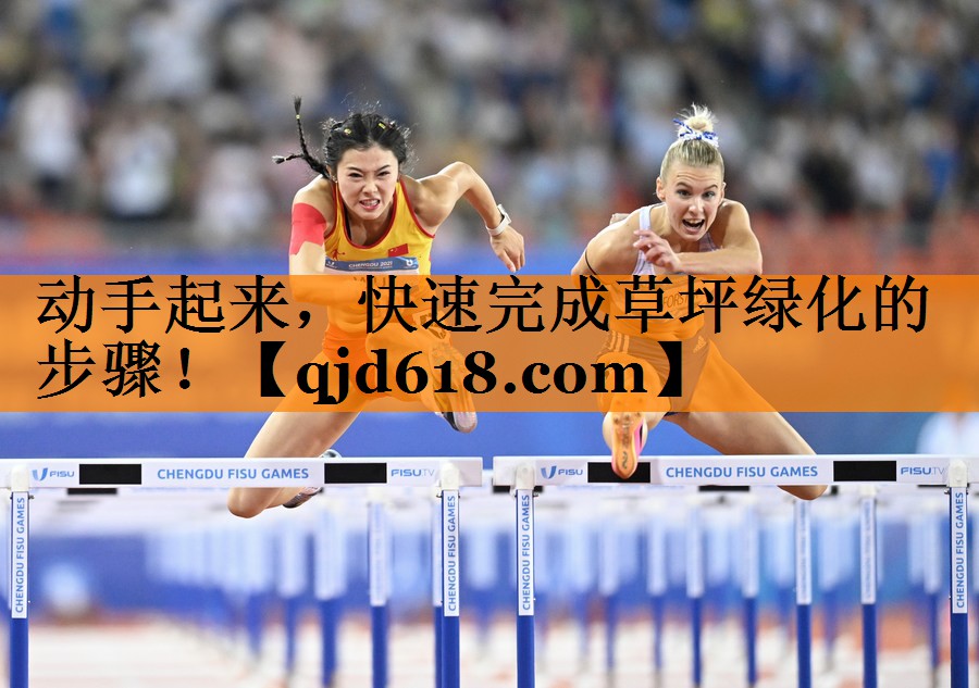 动手起来,快速完成草坪绿化的步骤!