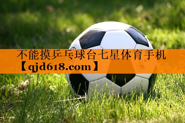 不能摸乒乓球台七星体育手机