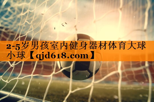 2-5岁男孩室内健身器材体育大球小球