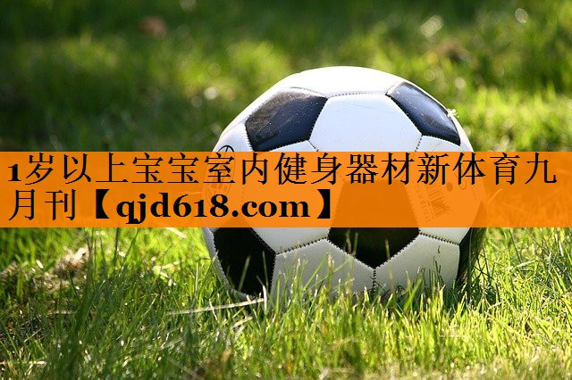 1岁以上宝宝室内健身器材新体育九月刊