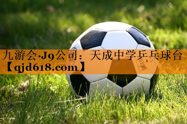 九游会·J9公司:天成中学乒乓球台