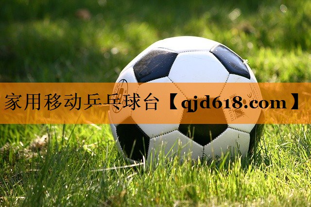 家用移动乒乓球台