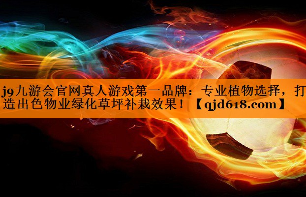 专业植物选择，打造出色物业绿化草坪补栽效果！