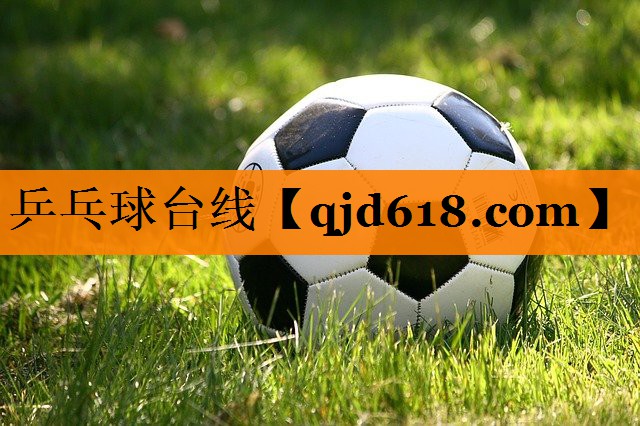 乒乓球台线